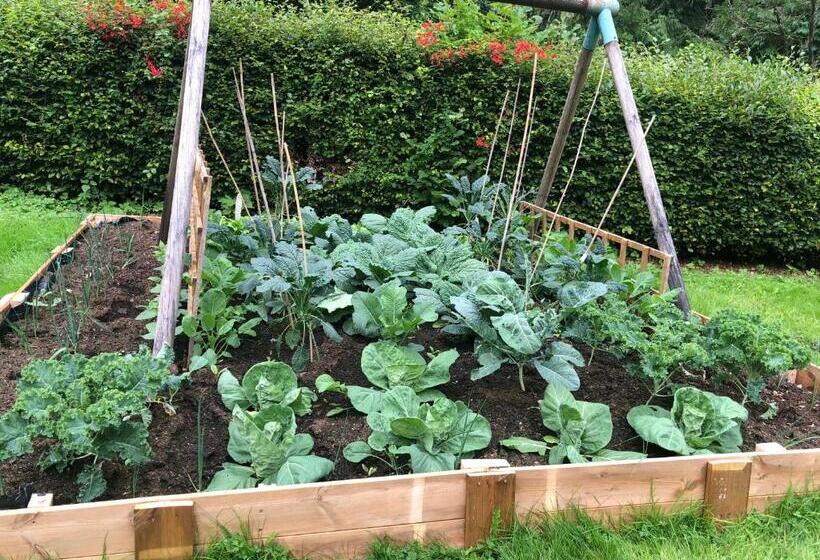 Номер Стандарт, Foresters Lodge Bed And Breakfast, Near Loch Ness