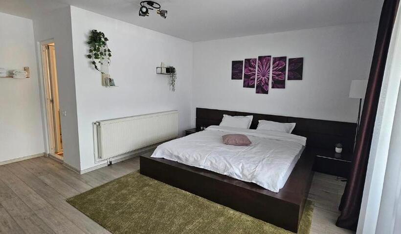 غرفة قياسية, Pensiunea Relax