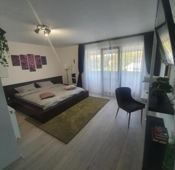 غرفة قياسية, Pensiunea Relax