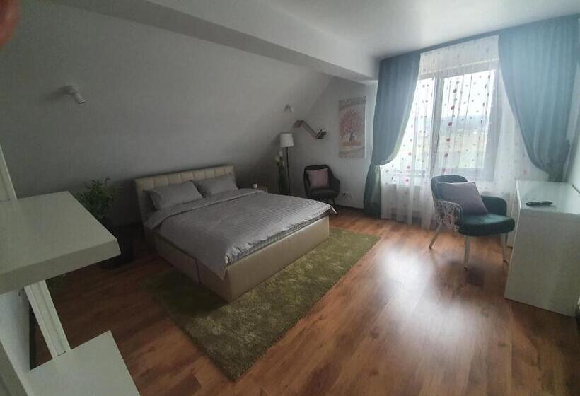 غرفة قياسية مزوَّدة بجاكوزي, Pensiunea Relax