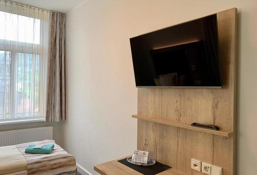 Номер Deluxe Одноместный, Villa Frieden Hotel & Seminarhaus
