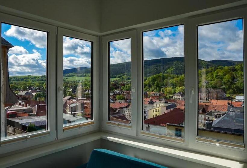 חדר דלוקס יחיד, Villa Frieden Hotel & Seminarhaus