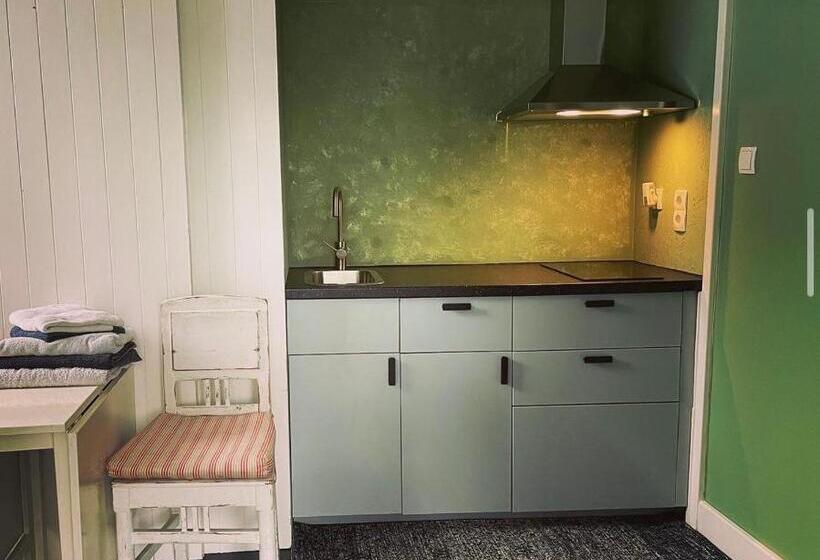 标准间带露台, Amster Houseboat Bed Without Breakfast