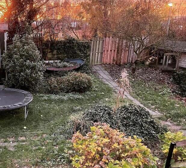 带大床的标准间, Amster Houseboat Bed Without Breakfast