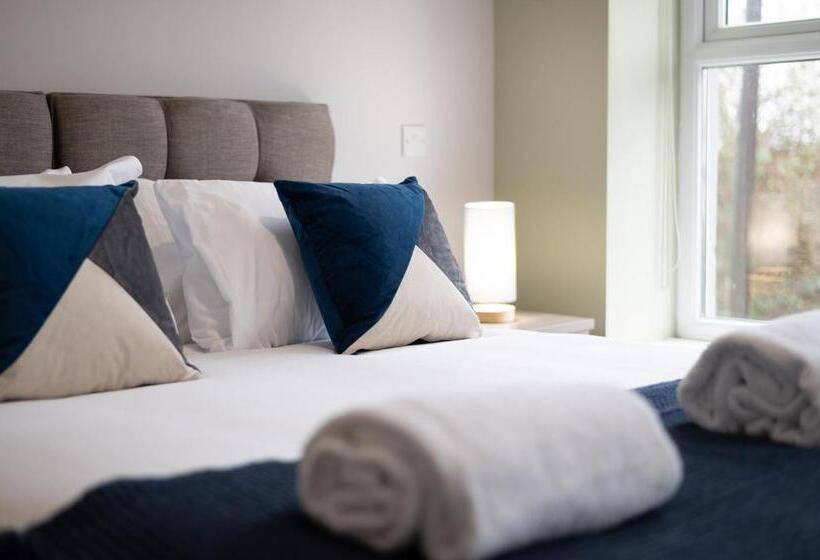 استودیو استاندارد با تخت کینگ, Copper House