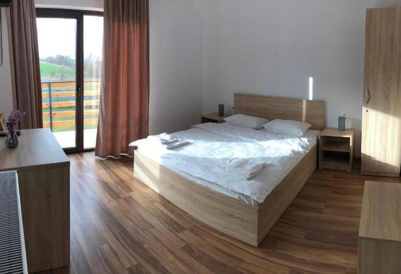 Номер Стандарт, Plai Dobrogean