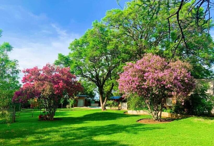 キングサイズベッドのデラックスルーム, Kameeldoring Guest House