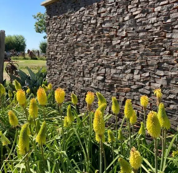 スタンダードルーム, The Vaal Guesthouse