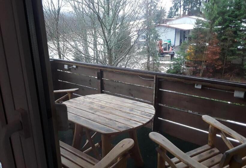 バルコニー付き1ベッドルームアパートメント, Pension Waldeck Fleckl