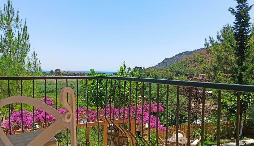 اتاق استاندارد با چشمانداز دریا, Swiss Eviniz