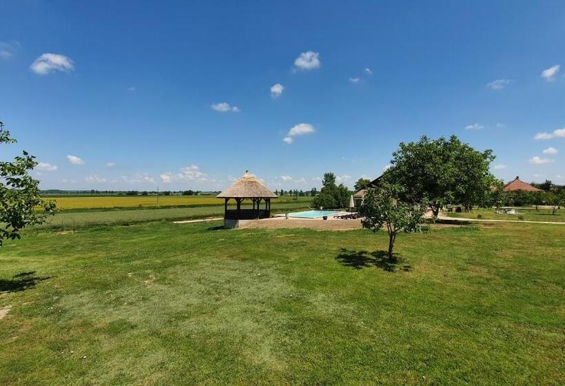 شاليه غرفة نوم واحدة, Tisza White House