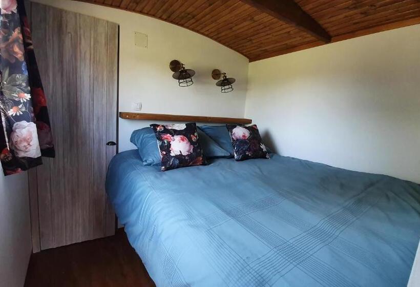 شاليه غرفة نوم واحدة, Tisza White House