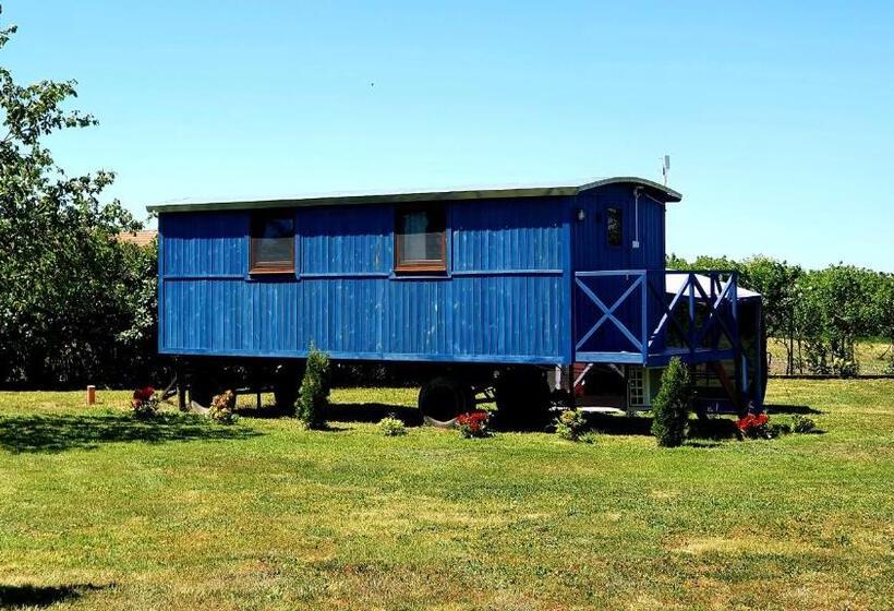 شاليه غرفة نوم واحدة, Tisza White House