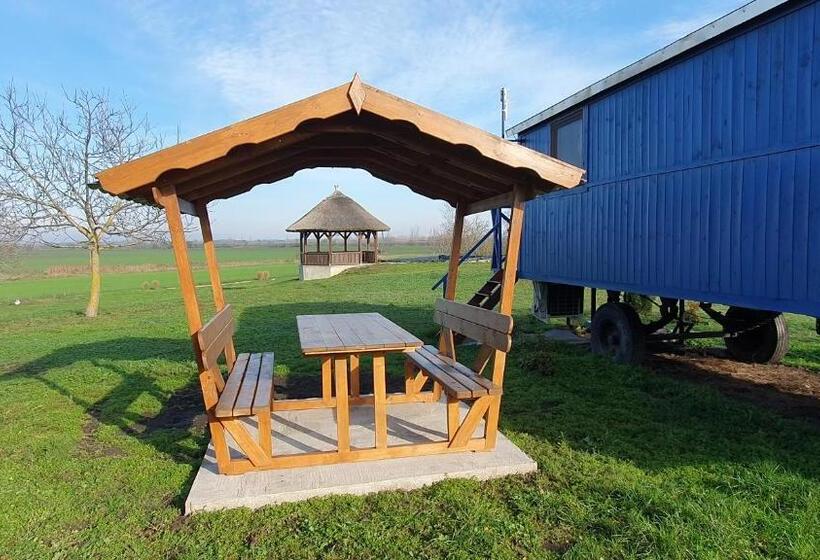 شاليه غرفة نوم واحدة, Tisza White House