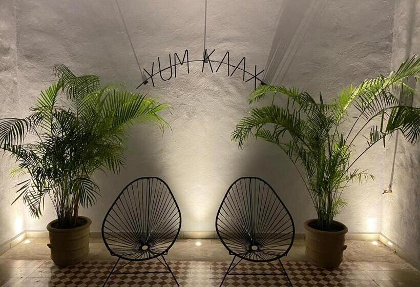سوییت با چشم‌انداز استخر, Ito Yum Kaax