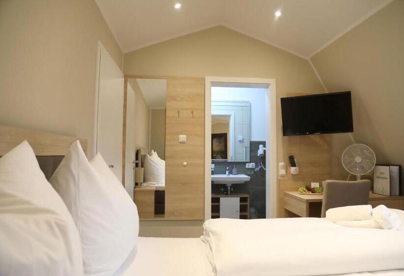 اتاق اکونومی, Pension Moselvilla 1900