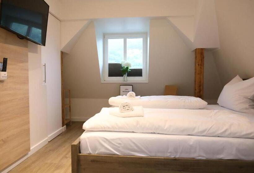 اتاق اکونومی, Pension Moselvilla 1900