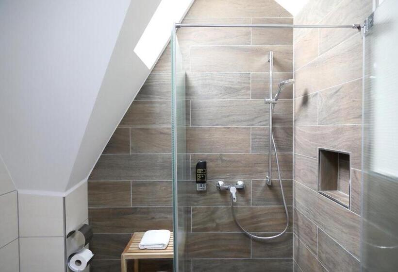 اتاق اکونومی, Pension Moselvilla 1900