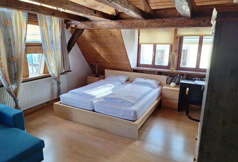 إستوديو قياسى, Charmante Pension Zentral