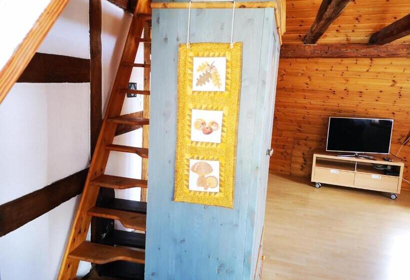 إستوديو قياسى, Charmante Pension Zentral