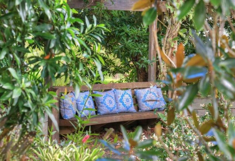 스탠다드 룸 풀장 전망, Mitta Glen Guesthouse