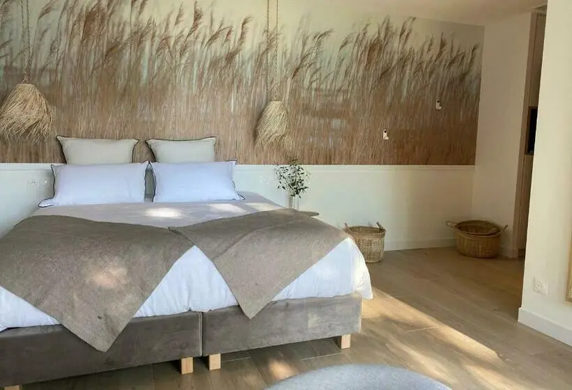 身障者適用スタンダードルーム, Chambres Avec Jacuzzi Privatif Kassiopée Bed & Spa