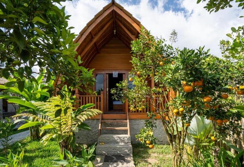 בונגלו סטנדרט עם נוף לגינה, Sandan Agro Resort Kintamani