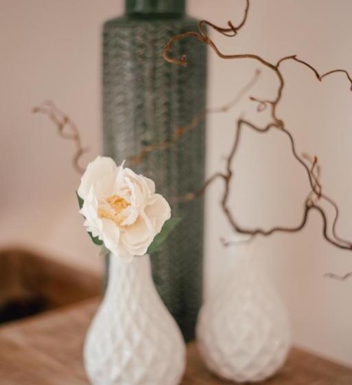 Студио Стандарт Кровать Кинг, Smarthotel Völkermarkt