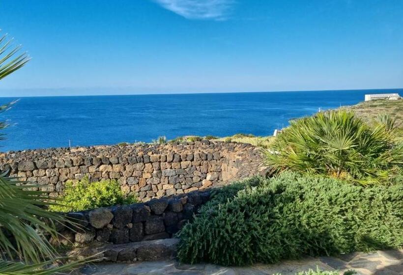 חדר סטודיו סטנדרד, Scauribasso14