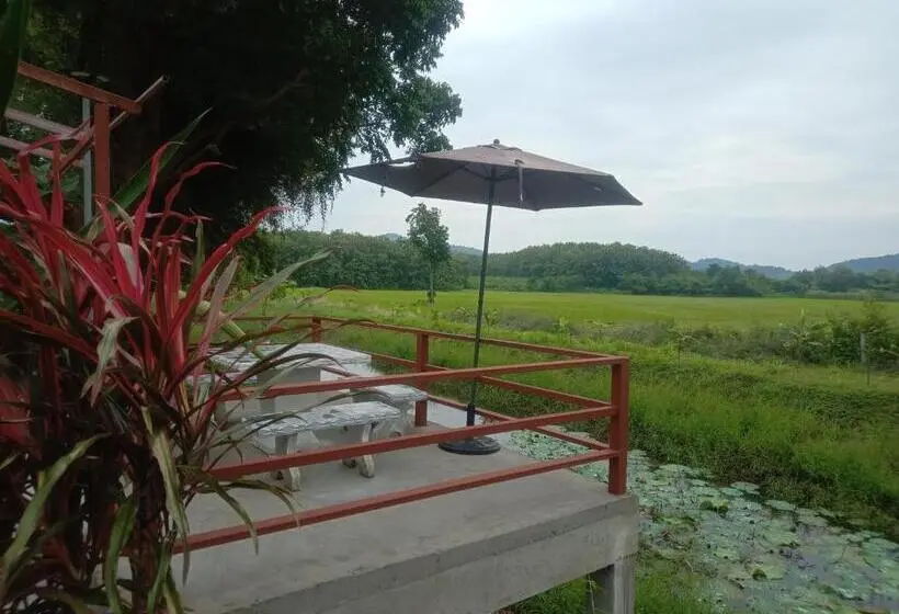 スタンダードルーム, The Green Vale B&b