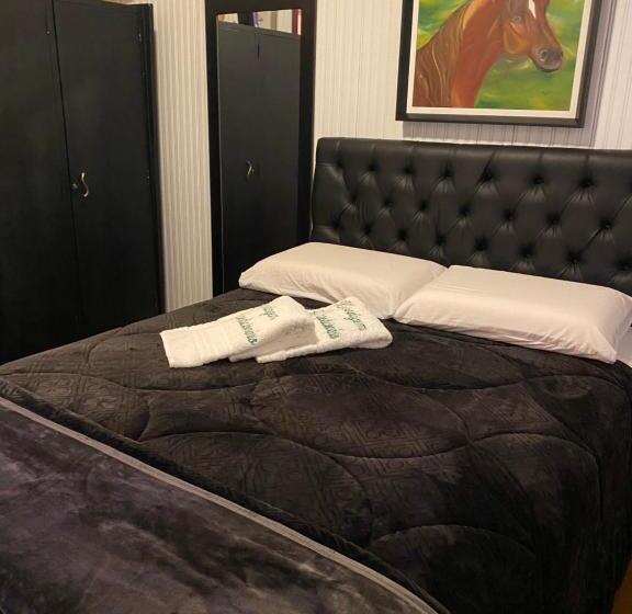 غرفة قياسية, Pousada Expedicionário Energias Da Serra