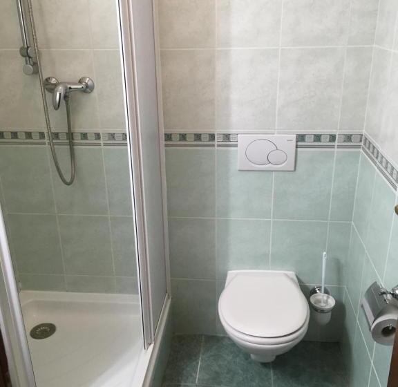 סוויטה עם מרפסת, Vila Bellevue