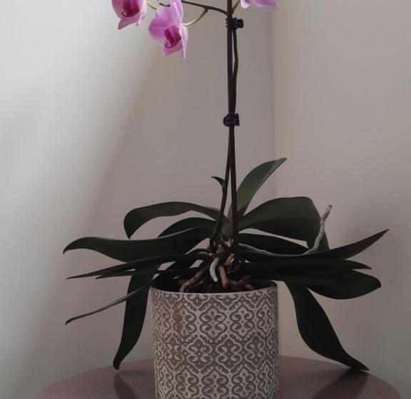 اتاق استاندارد, Chambre D Hôtes Du Muguet Avec Sdb Privative