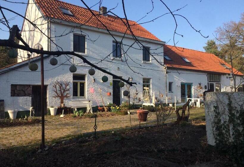 Дом 1 Спальня, Slaaphuisje Het Vliegend Varken