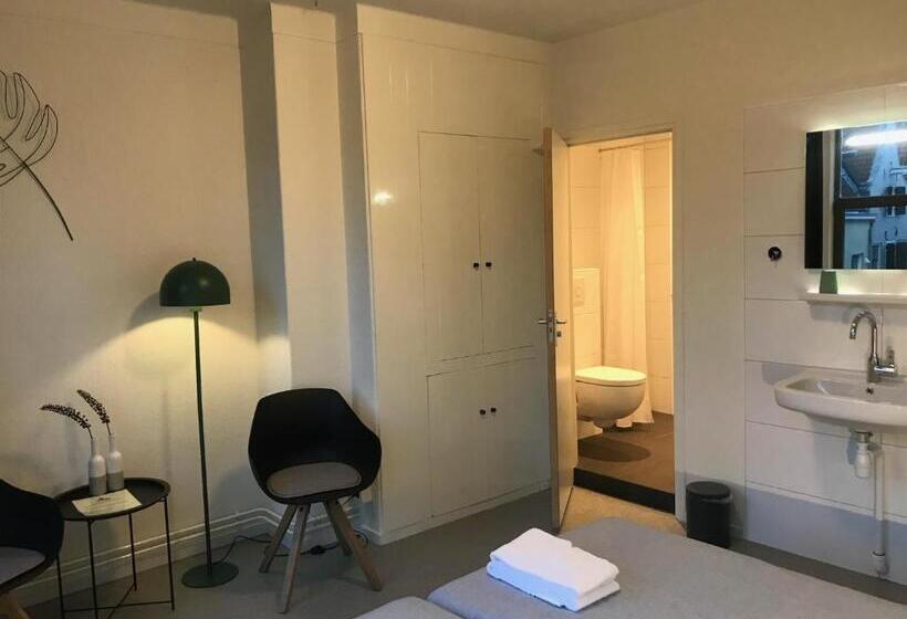 اتاق استاندارد, Kleinschalig Hostel In Deventer, Hartje Stad, Aan De Ijssel