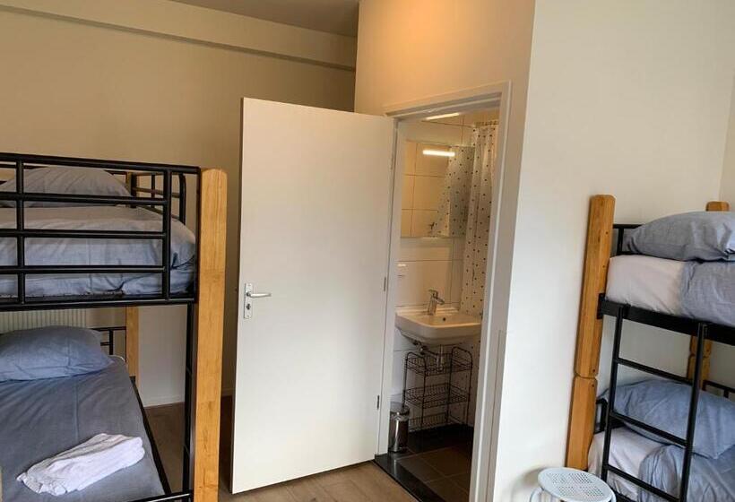 共用房间的床, Kleinschalig Hostel In Deventer, Hartje Stad, Aan De Ijssel
