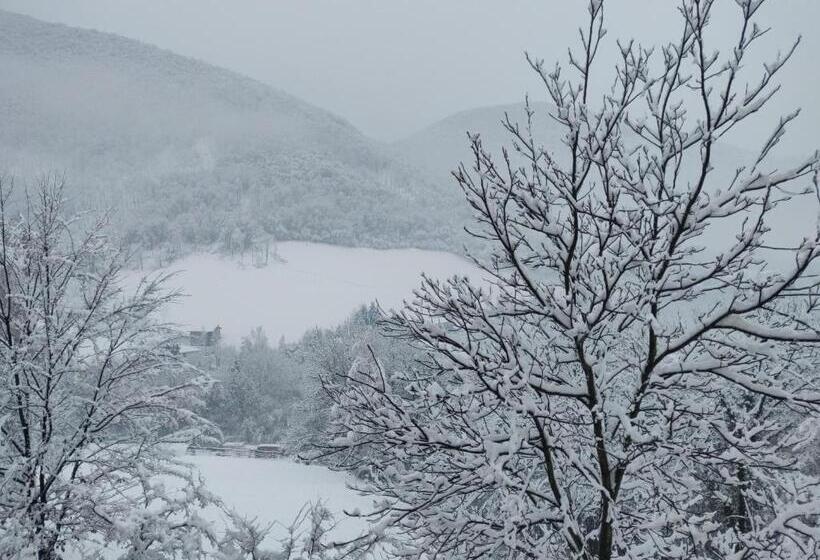 غرفة قياسية فردية, Agriturismo Green Valley