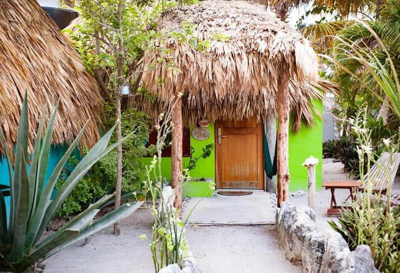 ガーデンビューのスタンダードバンガロー, Nacional Beach Club & Bungalows