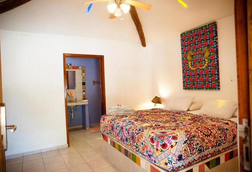 スタンダードバンガロー, Nacional Beach Club & Bungalows