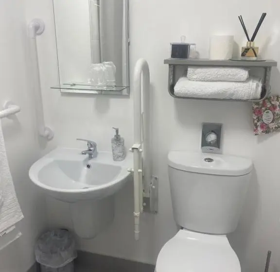 Chambre Standard Adaptée aux Personnes à Mobilité Réduite, Racecourse View