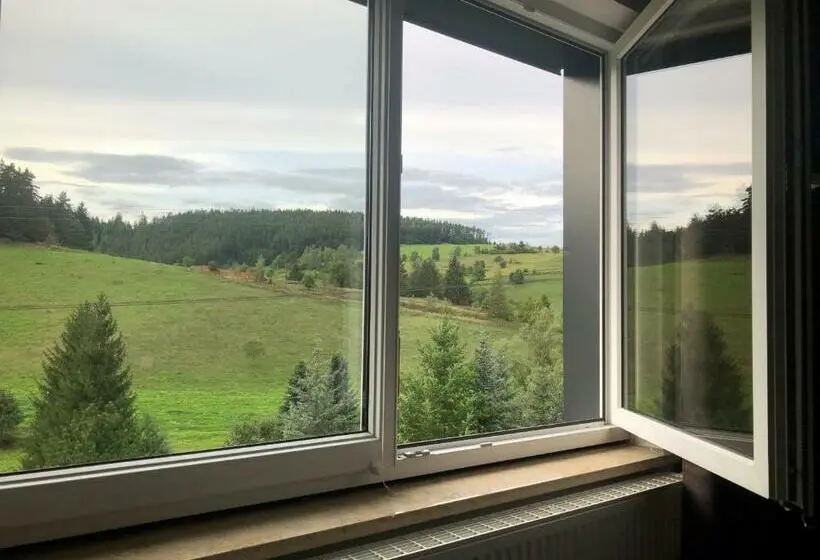 マウンテンビュースタンダードルーム, Familienpension Obere Juchhe, Ferienwohnung Und Zimmer