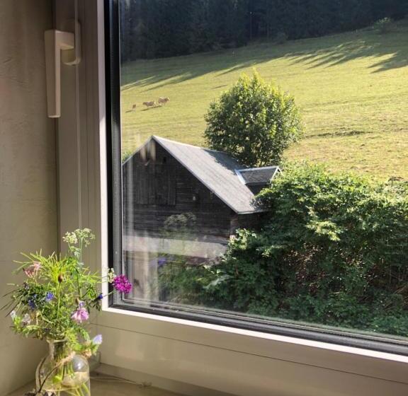 غرفة قياسية, Familienpension Obere Juchhe, Ferienwohnung Und Zimmer