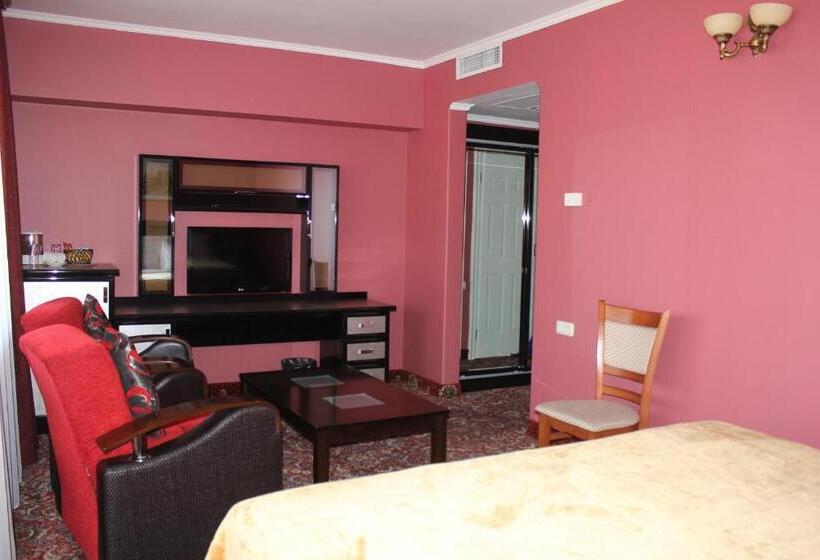 اتاق استاندارد یک نفره, Erebuni Hotel Yerevan