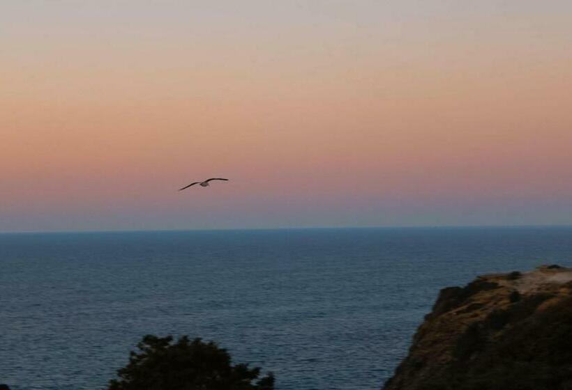 اتاق استاندارد, Sudoeste Guest House