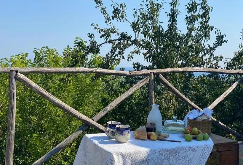 スタンダードルーム, Campagna Vista Mare
