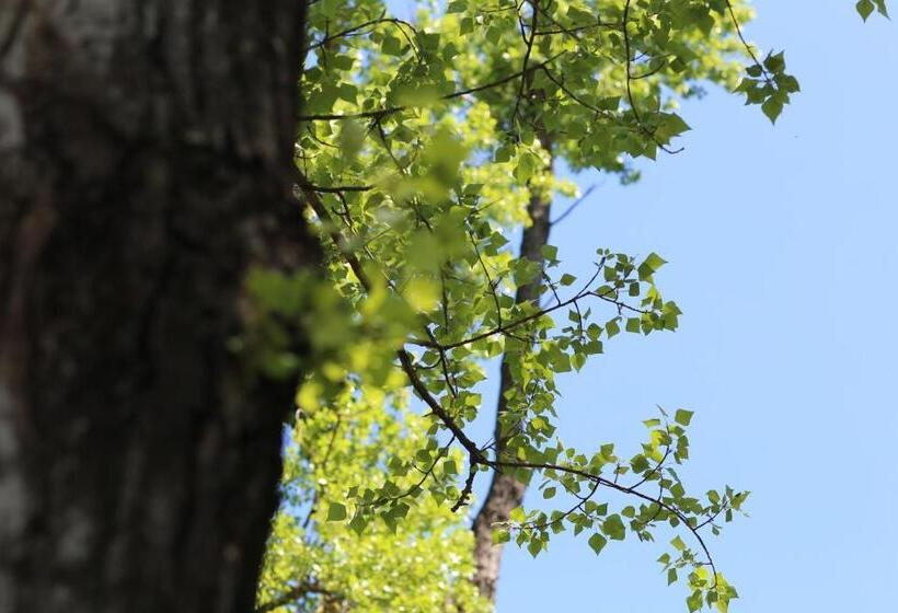 شقة غرفة واحدة مطلة على حمام السباحة, Agri Resort Masusa