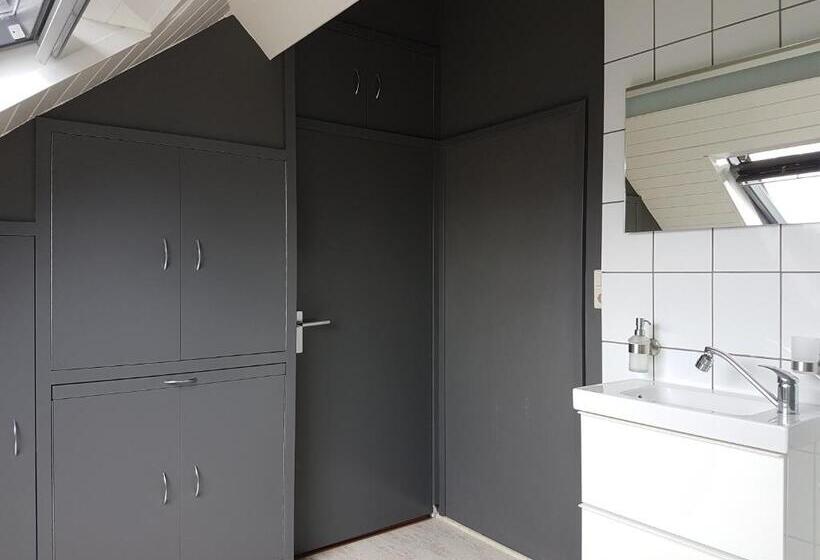 اتاق استاندارد, Anno 1919