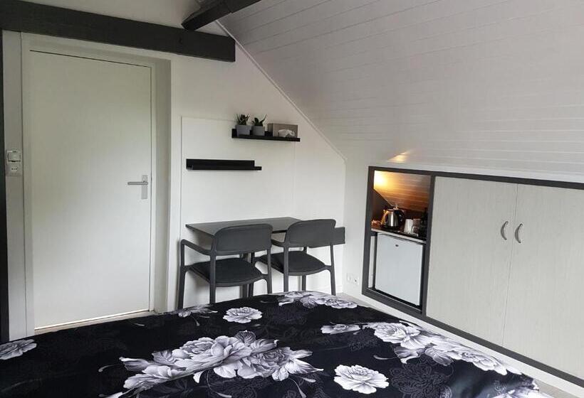 اتاق استاندارد, Anno 1919