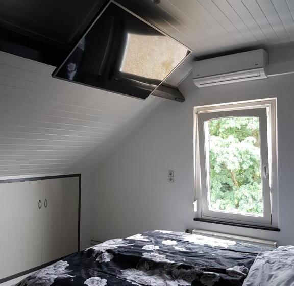 اتاق استاندارد, Anno 1919