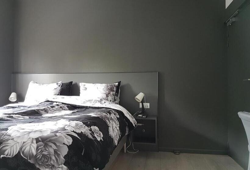 اتاق استاندارد, Anno 1919